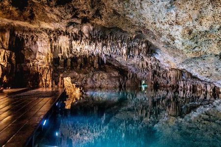 The Best Cenotes in Playa del Carmen Private Tour