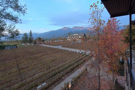 Alyan Family Wines Sunset Experience with Dinner and Transfer