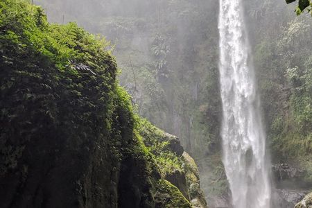 Arusha local Coffee experience: (Optional of waterfall, City tour