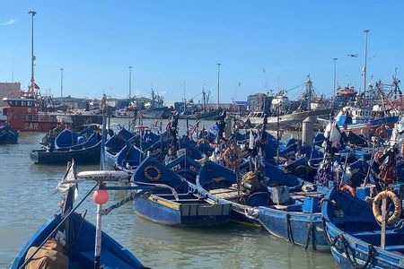 Essaouira Day Trip from Marrakech: Medina, Beach & Port