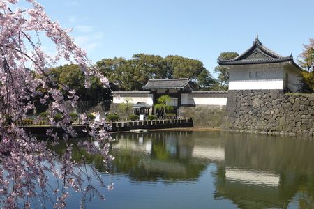 Tokyo Imperial Palace and Heritage of Edo Castle Private Tour