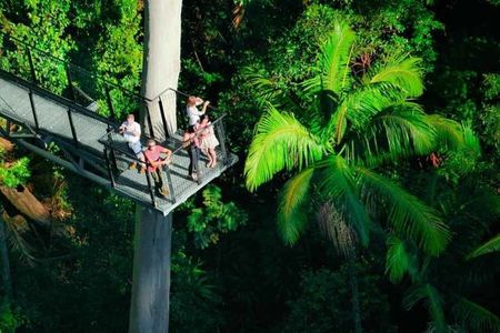 HOHO - Tamborine Rainforest Skywalk + Glow Worm Caves - GC