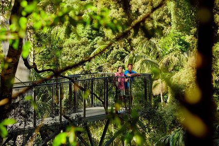 Hop on Hop Off Bus - Tamborine Mountain from Brisbane