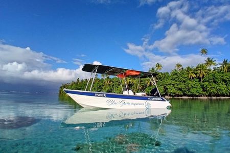 Unique Snorkeling and Art Tour Experience in Tahaa Raiatea 