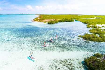 Turtle Cove Kayaking Experience Leeward