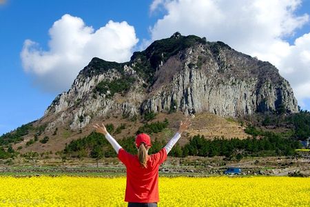 South-West Jeju Essentials: Hallasan & Signature Highlights