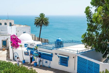 Private tour: Medina,Carthage ,Sidi Bou Said, Bardo Museum+lunch