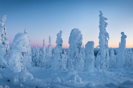 Arctic Circle & Northern Lights - Dalton Highway Winter Tour
