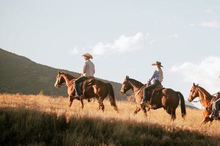 Guided Horseback Riding Adventure