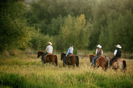 1 Hour Guided Horseback Riding Adventure