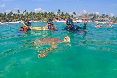 Swim with Turtles in Akumal