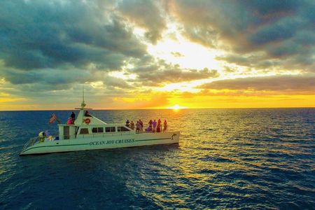 Private and Luxurious Sunset Cruise with Whale & Dolphin Watch 