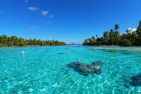 Raiatea Tahaa 1/2 day Coral Garden Snorkeling / Cruise Friendly 