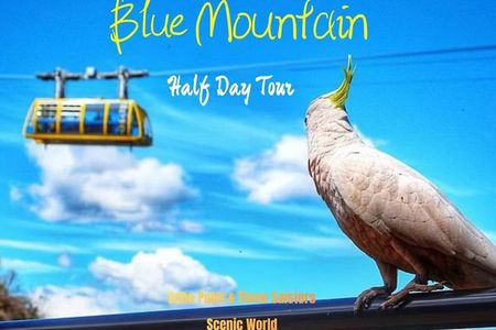 Sydney: Blue Mountains Half-Day Tour No Tipping English Guide