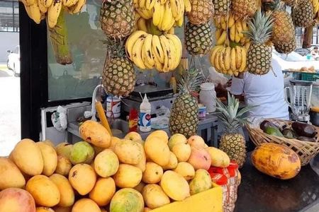 CiTY TOUR FROM PUNTACANA +COOFEE & CHOCOLATE TASTING +LUNCH