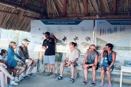 Experience Sunset and Release of Turtles in Huatulco