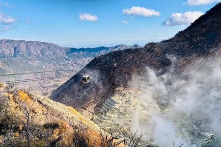 Private Hakone Trip from Tokyo – Lake Ashi, Owakudani & Shrine
