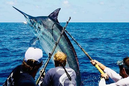 Punta Cana Fishing pro professionnel 