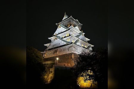 Ghosts of Osaka Castle: Haunted History Tour (Night & Day)