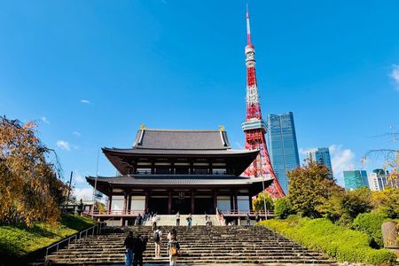 Tokyo Private 1-Day Sightseeing Tour by Car with Guide