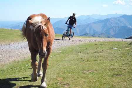 Guided hike to Iraty by electric scooter