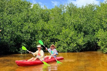Sisal Mangrove and Beach Kayak Tour From Merida