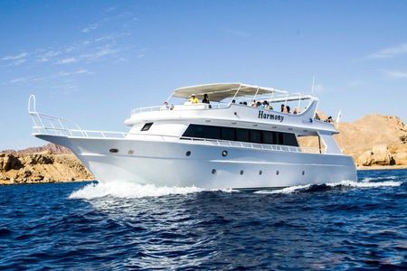 Ras Mohamed Snorkeling and White Island Experience