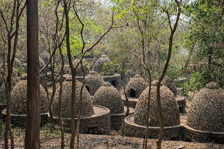 Rishikesh: Beatles Ashram Art & Meditation Walking Tour