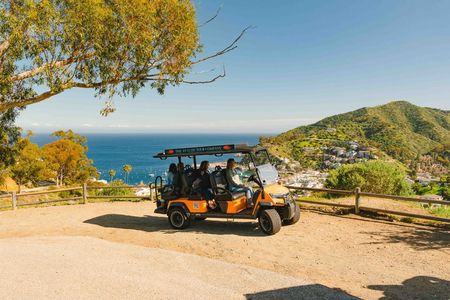 Experience Avalon Like a Local Private Golf Cart Adventure