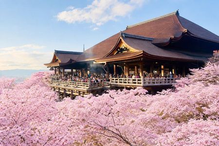 Explore Kyoto in Style: Temples, Shrines & Cultural Highlights 