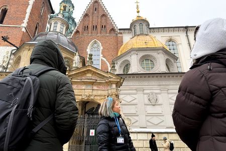Wawel Castle, Cathedral, & Rynek Underground Tour with Lunch