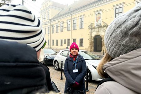 Wawel Castle and Cathedral with St Mary Basilica tour