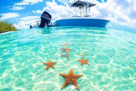 Ocean Blue Charters Private Boat Charters in the Cayman Islands 
