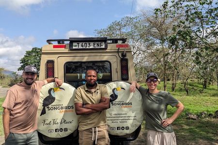 Tanzania Day Trips Ngorongoro Tarangire and Arusha Safari