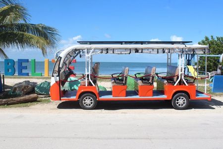 Luxury Eco Friendly TukTuk Bus Belize City Tour
