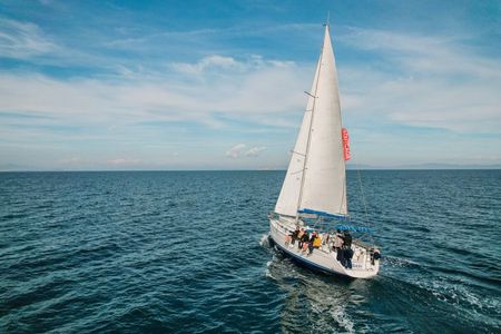 Sailing tour with dolphins Golfo Aranci Tavolara Molara
