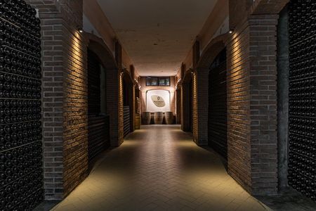 Brescia: Franciacorta Wine Tasting in a Historical Winery