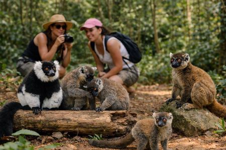 3 Days Andasibe Mantadia Private Tour