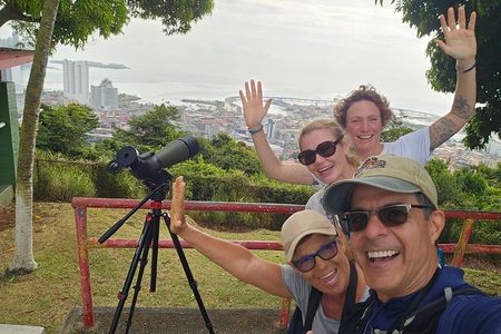 Ancon Hill Eco Walk – Sloths, Toucans & Stunning City Views