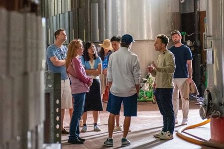 Ischia: Panoramic Wine Tour with Tastings, Vineyards & Pick-up