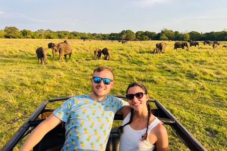 Minneriya National Park Private Jeep Safari with Elephant Viewing