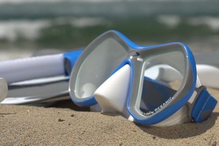 Snorkeling Shared Tour in Kralendijk