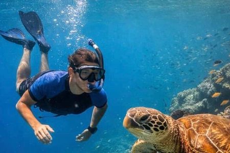 Daymaniyat Islands Snorkeling Adventure Half Day