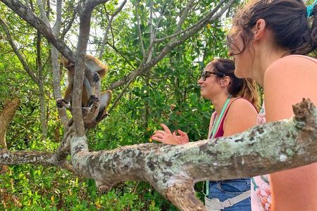 Southtern Sri lanka Day Tour from Colombo , Kaluthara or Bentota