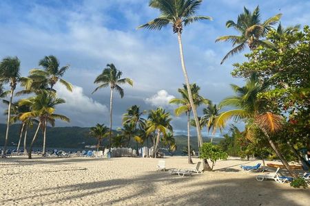 Samana Tour From Punta Cana Dominican Republic