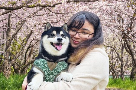 Yasukuni Shrine Shiba Inu Walk: Explore Tokyo’s Quiet Side