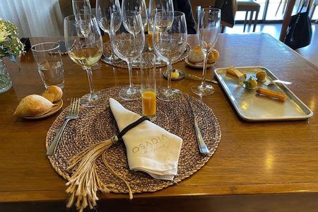 Private Mendoza WineTour: 3 Premium Wineries Michelin-Star Lunch