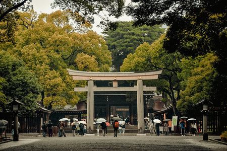 Tokyo Private Tour with English Speaking Guide