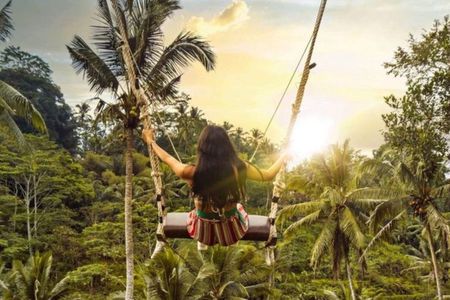 Ubud Day Trip: Swing, Temple, Monkey Forest & Waterfall