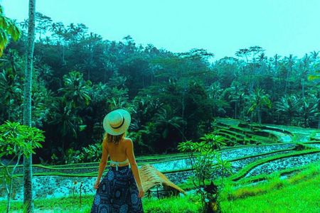 Ubud Day Trip: Swing, Temple, Monkey Forest & Waterfall